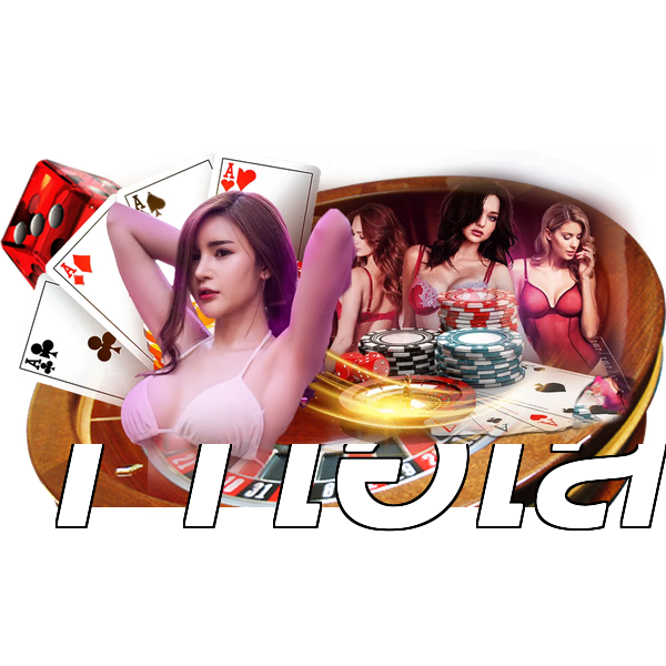 11ไฮโล
